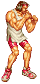 Art of Fighting